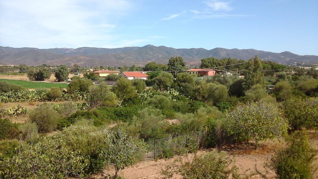 Villa Renzo E Lucia Sant Isidoro  Εξωτερικό φωτογραφία