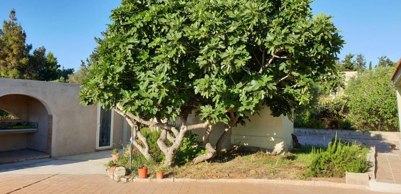 Villa Renzo E Lucia Sant Isidoro  Εξωτερικό φωτογραφία